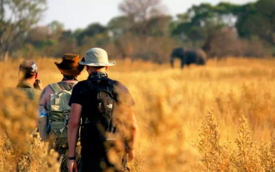 Kenya Safari FAQs